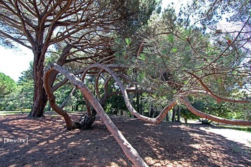 IMG_1708.jpg