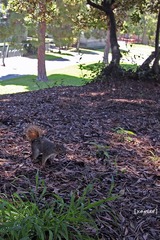 IMG_1722.jpg