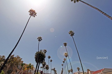 IMG_2051.jpg