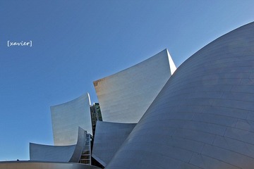 IMG_2165.jpg