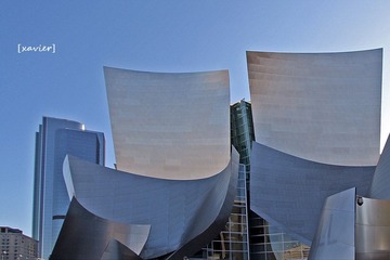 IMG_2167.jpg