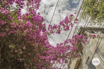 “IMG_3096”为智能对象-1.jpg