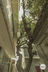 “IMG_3099”为智能对象-1.jpg