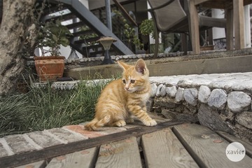 “IMG_3243”为智能对象-1.jpg