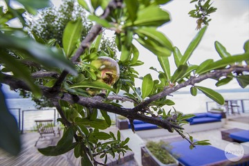 “IMG_3285”为智能对象-1.jpg