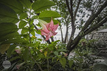 “IMG_3290”为智能对象-1.jpg