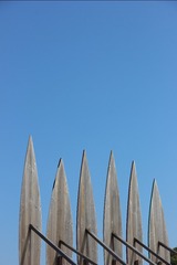 1000011231