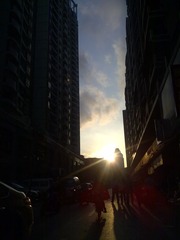 图像247.jpg