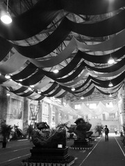 20121016494.jpg