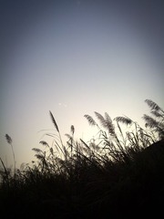 20121111703.jpg