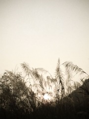 20121111704.jpg