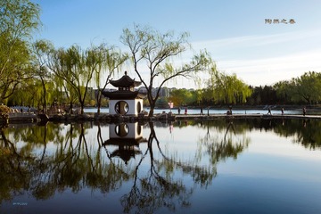 陶然小景...