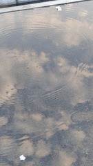 1000017167