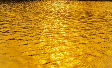 1000009257