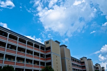 P1100036.jpg
