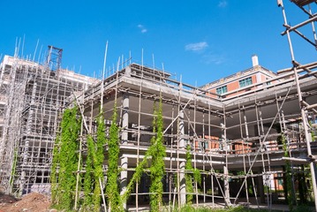 P1100077.jpg