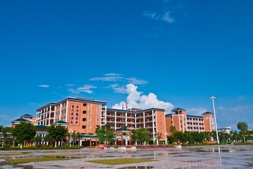 P1100079.jpg