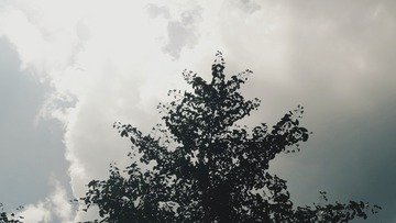 295473
