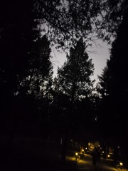 1000009512