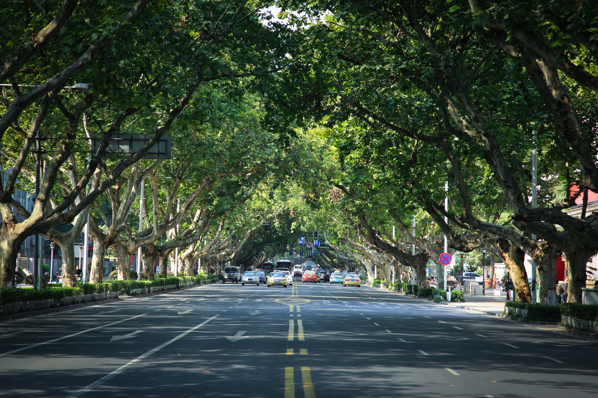 南京长江路景观