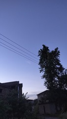 1000023916