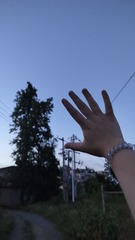 1000023913