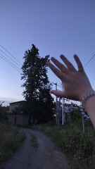 1000023912