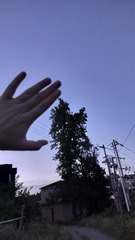 1000023914