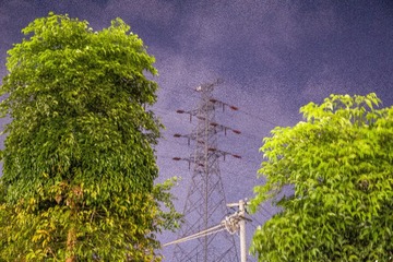 1000056809