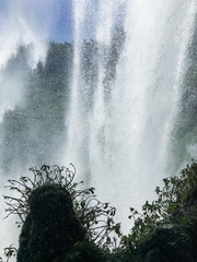 1000052904