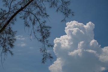 1000059376