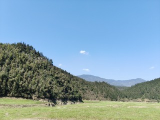 1000005493