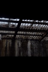238026