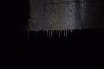 238024