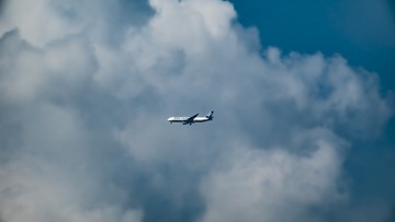 1000104453