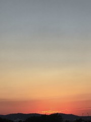 1000062238