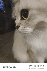 1000007800