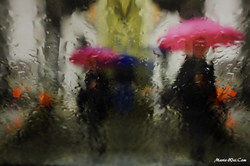 春雨