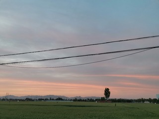 789020
