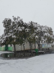 786622