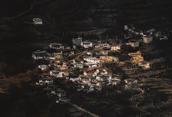 1000048929