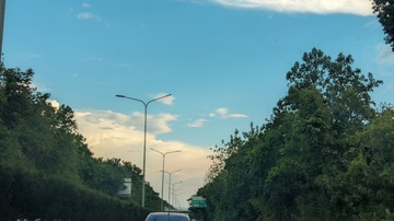 1000007619