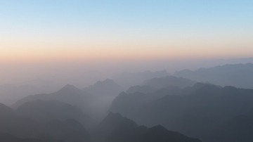 1000029454