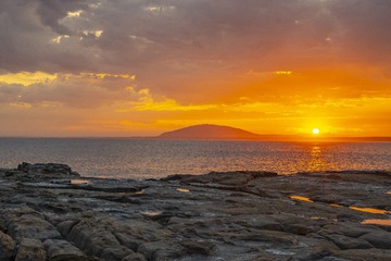 _DSC0598