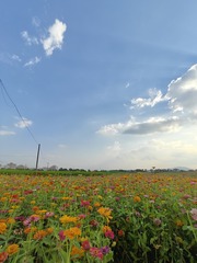 1000001292