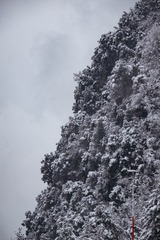 1000060532