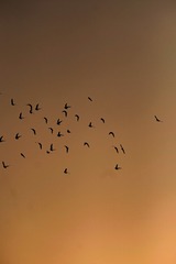 133088B9-230B-4968-BA74-D5EDB831EC97/L0/001