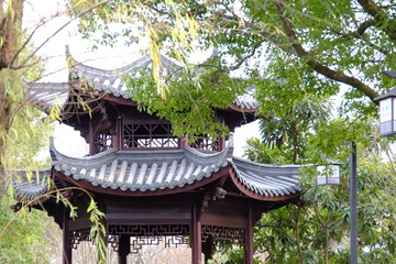 DSCF3876
