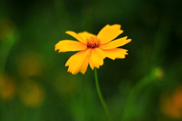 1000133541