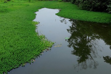 1000136406